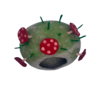 MUSHROOM TOPPED CAT HOUSE