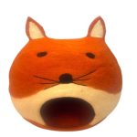 ORANGE COLORED CAT HOUSE